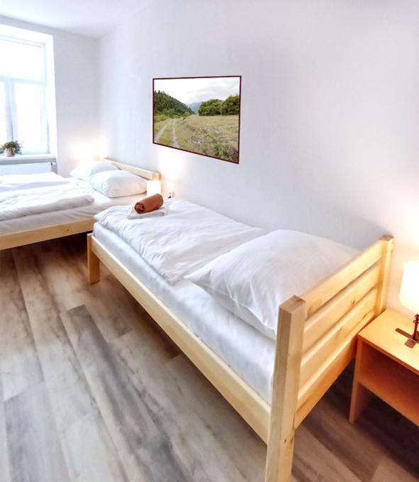 Penzion U Provaznika Zdíkov Extérieur photo