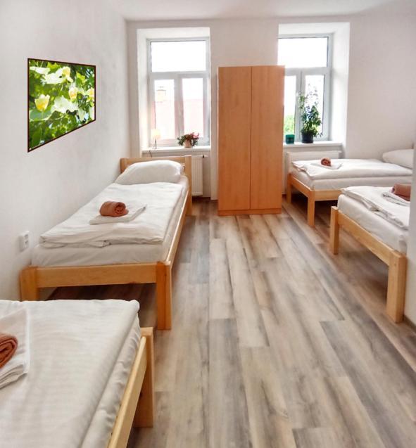 Penzion U Provaznika Zdíkov Extérieur photo
