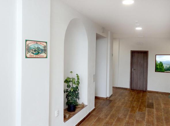 Penzion U Provaznika Zdíkov Extérieur photo